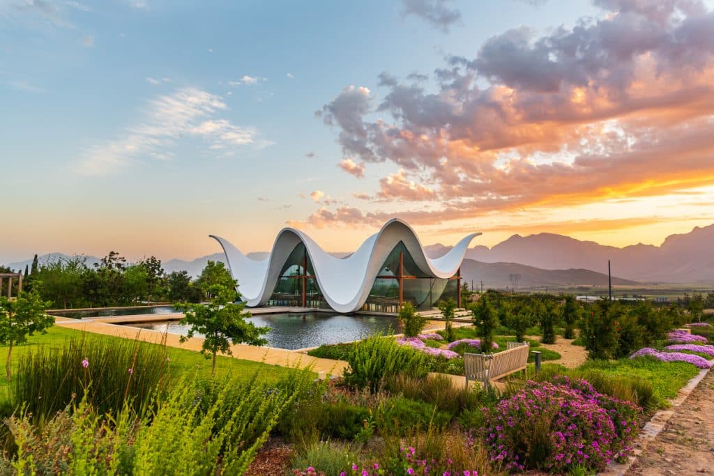 wedding in south africa